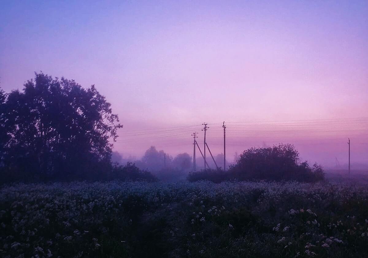 山东男篮分享陈林坚首秀精彩集锦：“林”机应变，“坚”不可摧